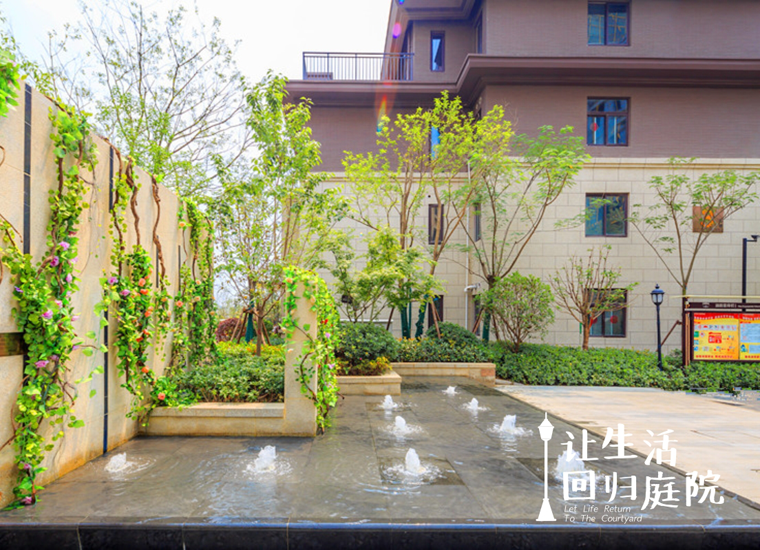 前后张望南阳50年：这样的天井，很难再有了！