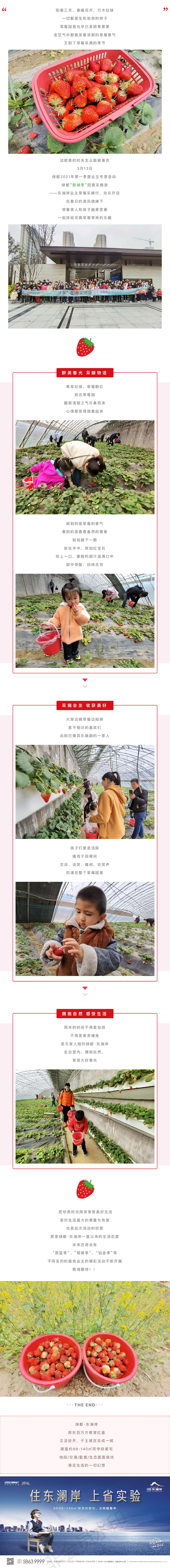 草莓采摘行|“莓”好同业，不负春日好时光