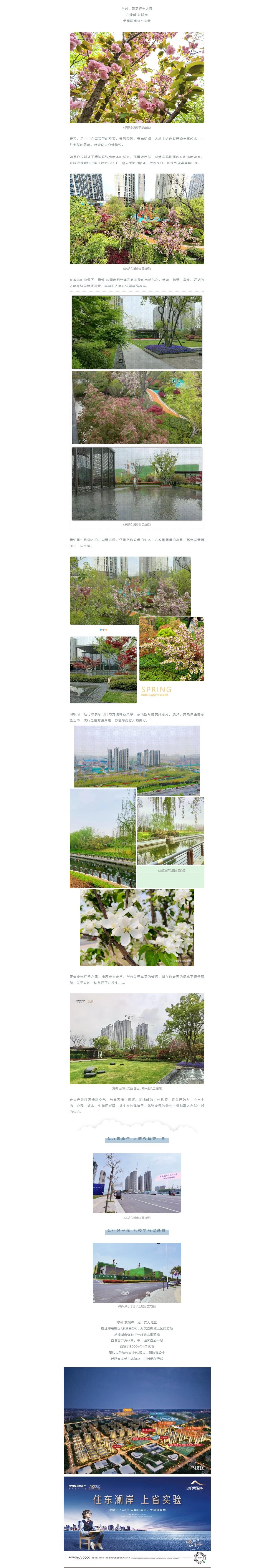 赏花踏青，来一场和春天的约会