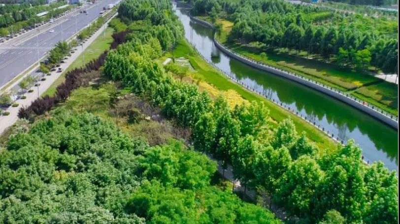 定了！“神兽”线上开学，家里有学生的必看！