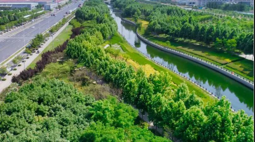 8#楼王加推在即 | 经开顶流热盘，这一次千万别错过！